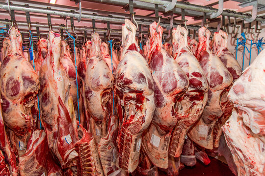 Carne in cella frigo