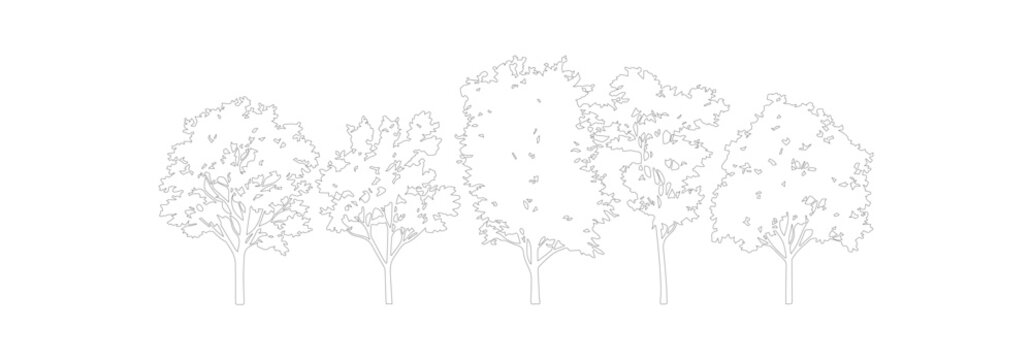 Minimalist line art trees collection, hand drawn forest sketches, set of 5 thin stroke tree silhouettes for architectural site plans and landscape design