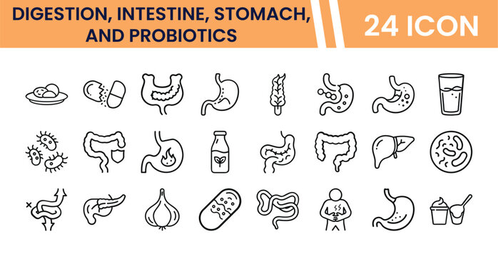 Digestion, Intestine, Stomach, and Probiotics vector icon set. 24 line art icons for digestive health, gut flora, and human anatomy. Medical and wellness graphic resources for healthcare design.