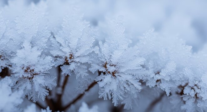 Intricate ice crystals form delicate patterns on a frozen branch in winter