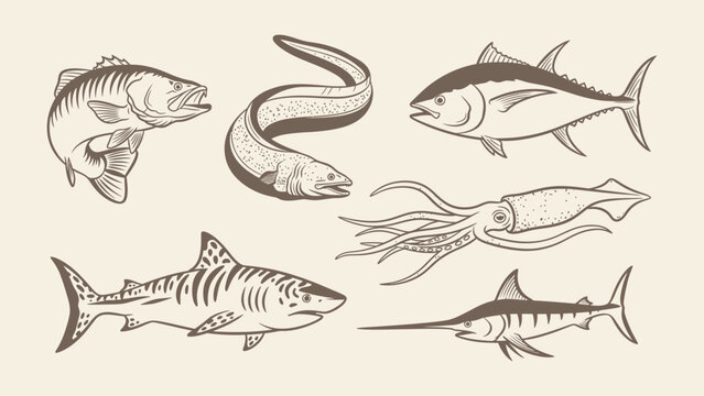 Vintage hand-drawn vector illustration of sea creatures including shark, tuna, eel, squid, and marlin. Ideal for seafood menus and nautical branding