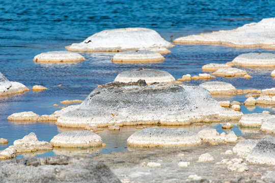 Lake Thetis Stromatolites - Western Australia
