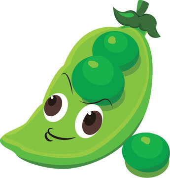 hand drawn green bean
