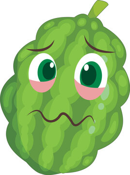 hand drawn bitter gourd