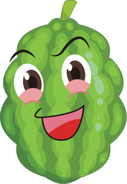 hand drawn bitter gourd