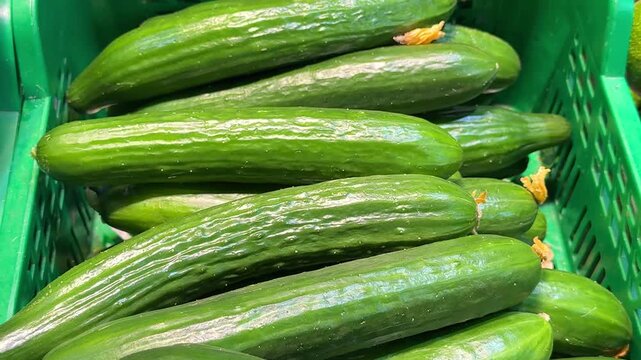 Green cucumbers on a shelf in store close-up top view.