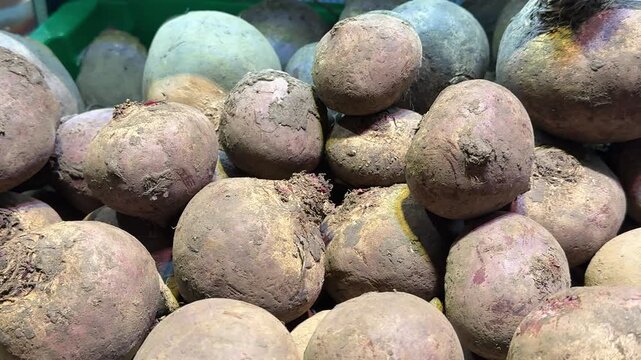 Panning shot of raw organic beetroots with earthy texture. fresh organic beets with rich purple skin, healthy vegetables for healthy eating and cooking, food background.