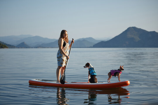 A woman stands and paddles with dogs on the board. Calm water and distant mountains surround them.