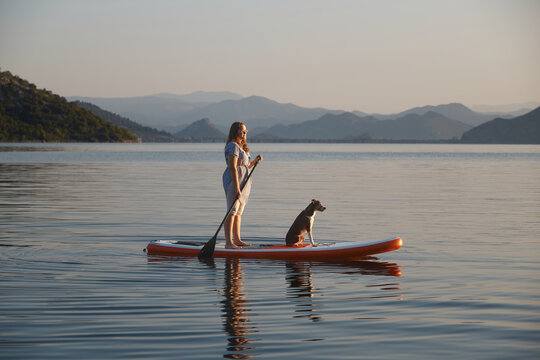 A woman rows gently across flat water while dog. Mountains and open lake fill the calm background.