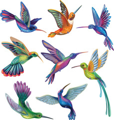 Obraz premium Vibrant tropical hummingbird in flight isolated on light background