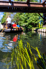 Fototapeta premium Low angle view through clear canal water shows green plants reflections while wooden boat tourists passes under rustic bridge. Boatman steers gondola along calm Spreewald waterway sunny countryside