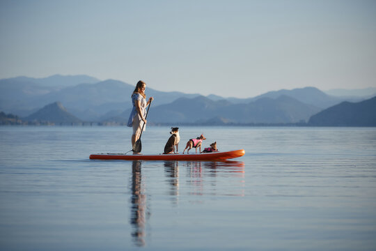 A young woman stands with three dogs on a wide paddle board on a quiet lake. The scene captures reflection and the distant hilly landscape.