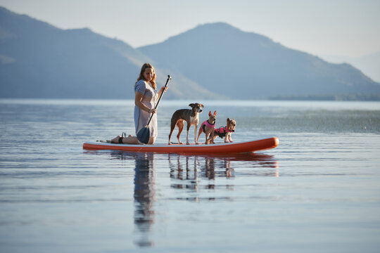 A woman stands on a paddle board with three dogs. The clear water and hills complete the peaceful moment.