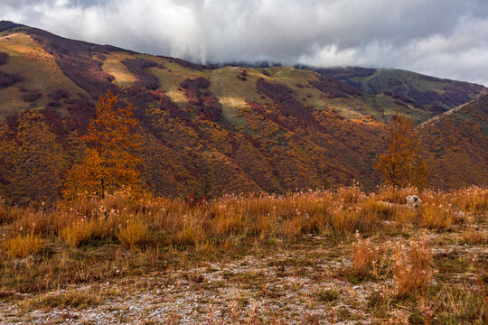 Beautiful landscape in Sirente Velino Park