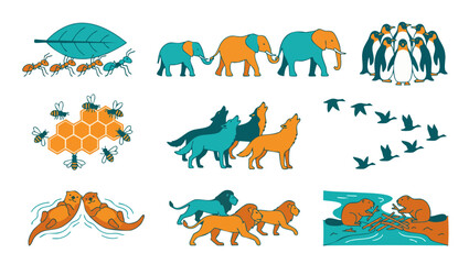 Obraz premium Animal Social Behavior Icons Set, Wildlife Grouping and Cooperation Symbols, Vector Illustration of Wild Animals in Packs, Herds, and Colonies for Educational Infographics and Nature Design Projects