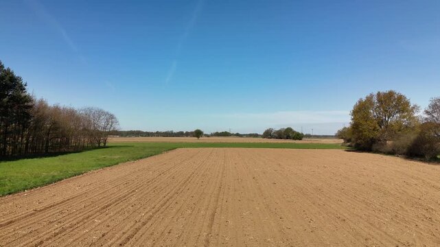 Plowed agricultural field with trees and clear blue sky aerial view