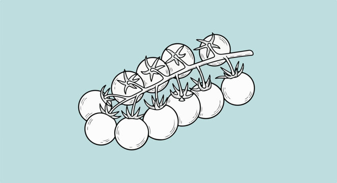 A black and white drawing of a vine of ripe tomatoes on a blue background