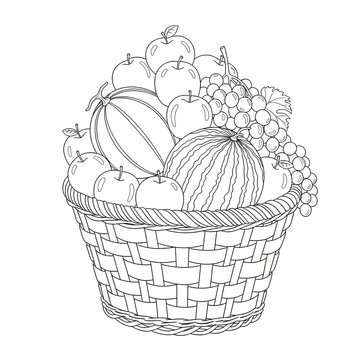 Fruit basket overflowing with fresh apples, grapes, and melon sits as a detailed line drawing for coloring projects.