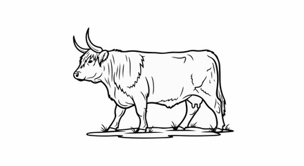 Fototapeta premium A black and white line drawing depicts a shaggy Highland cow in profile