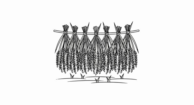 Sheaves of grain hanging from a horizontal bar over a field