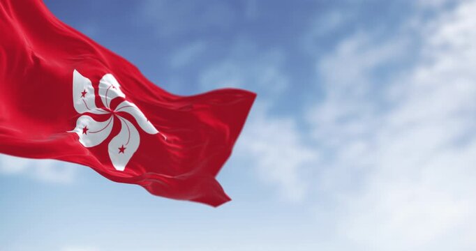 Hong Kong flag waving in the wind on a clear day. Red field with a white, stylized, five-petal Hong Kong orchid tree flower. Seamless 3d render animation. Slow motion loop. Selective focus