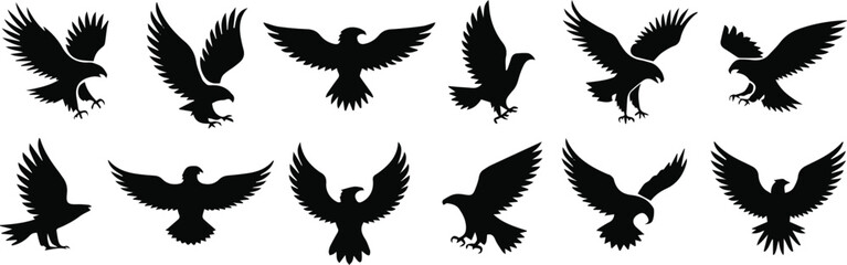 Fototapeta premium Eagle wing feather silhouettes for pattern and textile