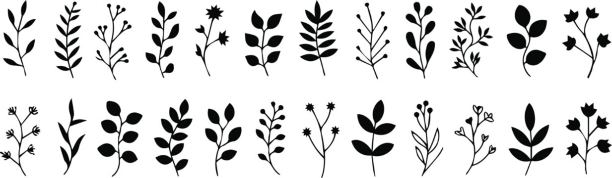 Wildflower sprig silhouettes for packaging and print
