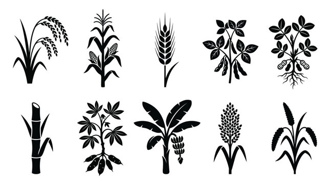 Flat silhouette icons of agricultural crop plants and staples
