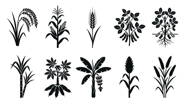 Flat silhouette icons of agricultural crop plants and staples