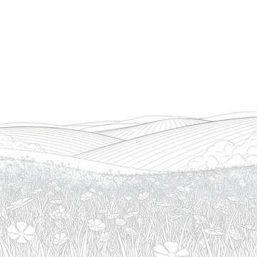 A serene and picturesque rolling landscape filled with wildflowers, showcasing the beauty of nature's gentle curves and textures in a minimalist line drawing style