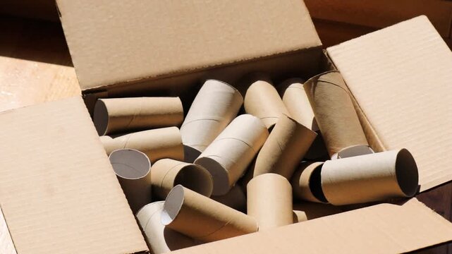 Cardboard toilet paper rolls falling into box, recycling and eco concept, kraft paper tubes for seedling pots, gardening and planting use, sustainable zero waste lifestyle, reuse materials for garden