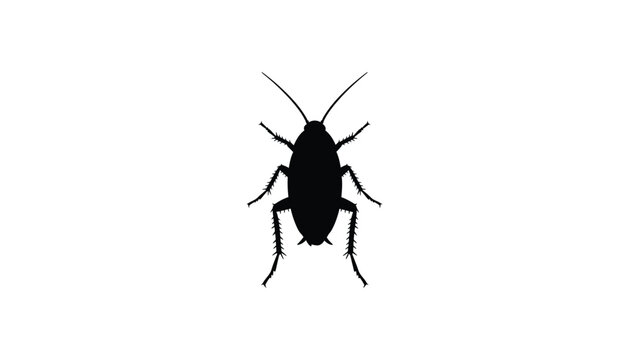 Black silhouette of a cricket insect on white background