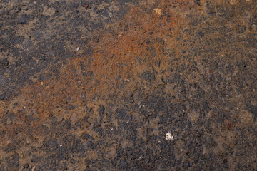 Wet asphalt surface after rain, urban texture background, minimal street pattern, rainy weather concept © Ekaterina