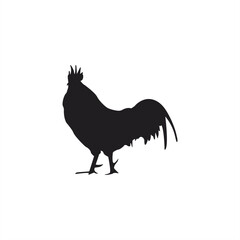 Chicken silhouette, Vector silhouette of Chicken on White Background, Black Isolated Chicken on White Background © Ahwati Sazkiaaa