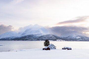 Naklejka premium Snowy mountains rising above a cold Arctic fjord in the Tromsø region, Norway