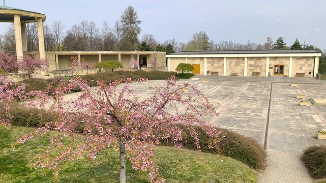 Lidice memorial with blooming tree and stone courtyard under soft sky. Historic place in the Czech Republic reflecting remembrance, peaceful atmosphere and quiet dignity.