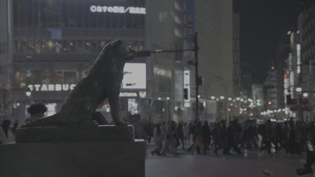【4K RAW R3DNE】渋谷の街並み
