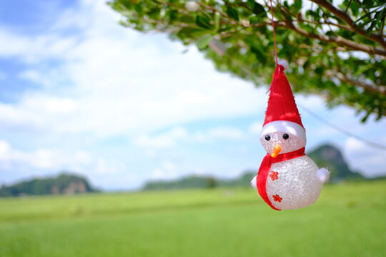 Christmas snowman ornament hanging on a tree in a sunny tropical green field landscape.