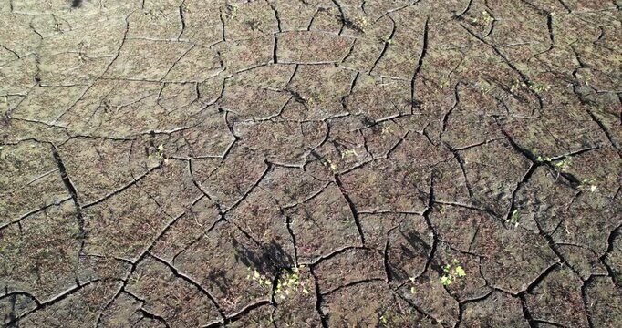 The land is dry and parched because of global warming.