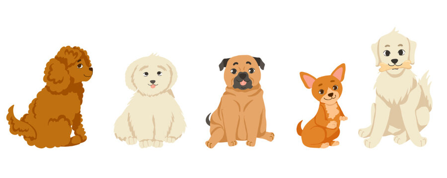 Cute cartoon dog set with different breeds including poodle, bichon frise, pug, chihuahua and golden retriever sitting in a row. Vector hand drawn illustration isolated on white for stickers and print