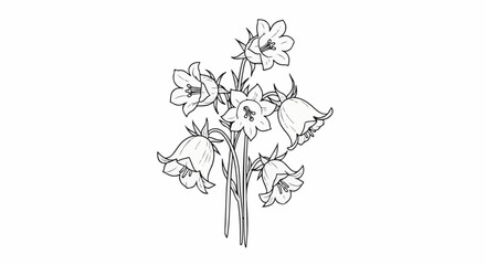 Fototapeta premium Delicate bell-shaped flowers and buds depicted in a line drawing style