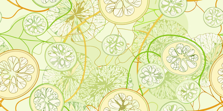 Melon slice pattern decorative seamless repeat background