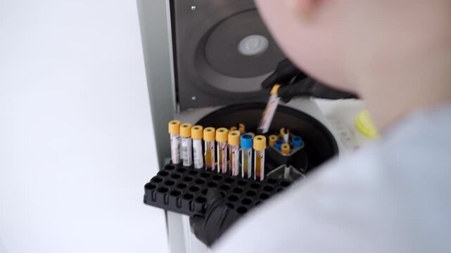 Laboratory technician placing blood sample tubes into a centrifuge for analysis and medical testing in a modern research lab