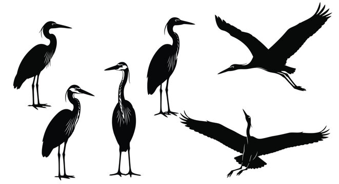 Collection of black silhouette illustrations showcasing herons in various poses and flight