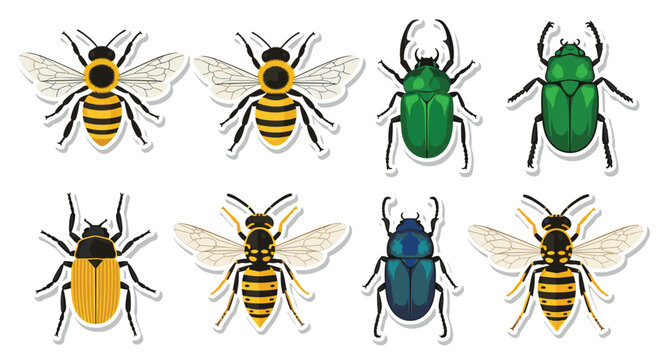 A set of various insect stickers including bees wasps and colorful beetles arranged in two rows on a plain white background in a detailed flat illustrative style.