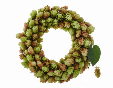 Decorative wreath made of dried green and brown hop cones on a white background