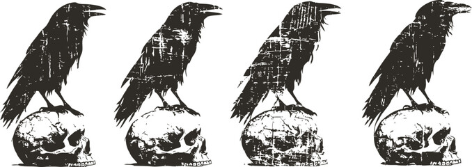 Obraz premium grunge raven perched on human skull illustration in vintage gothic with distressed texture