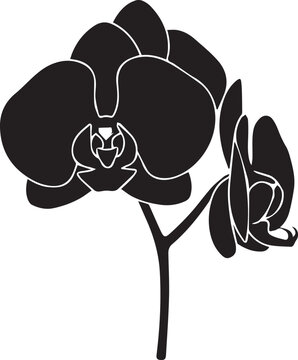 An artistic black and white illustration of roses and a tree branch featuring floral leaves and a sprout to symbolise nature and spring growth in an eco friendly design