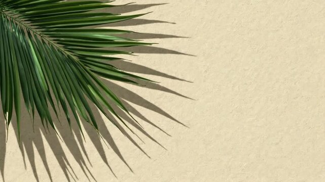 Top view of green tropical leaf shadow on sand color background. Flat lay. Minimal summer concept with palm tree leaf. Creative copyspace..