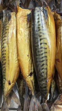 Close-up smoked mackerel fillets on counter, arranged in neat rows at artisan fish stall, glistening oily skin with striped